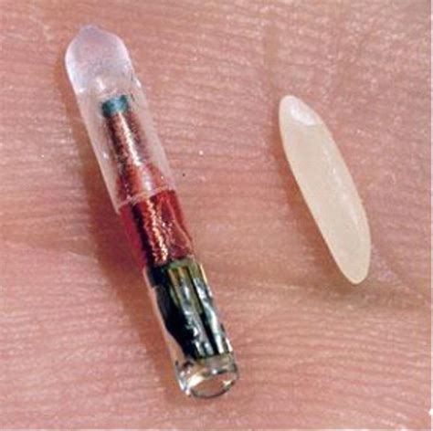 what is the rfid chip 666|verichip rfid implants.